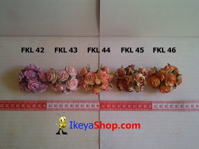 FKL 42 46  large2
